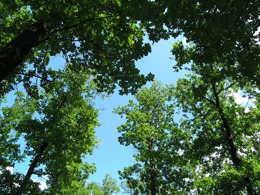 06.07.2009 21:58:56