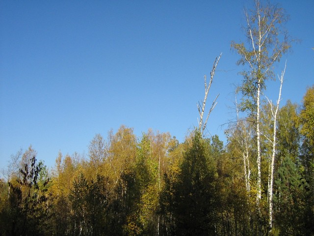 20.10.2010 19:51:31