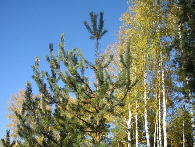 20.10.2010 19:52:44