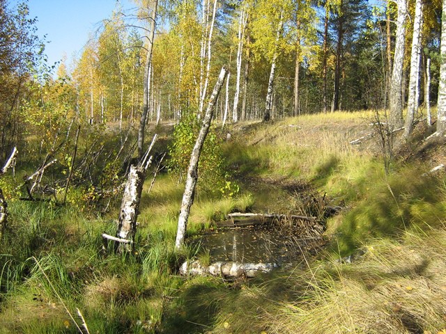 20.10.2010 19:52:55
