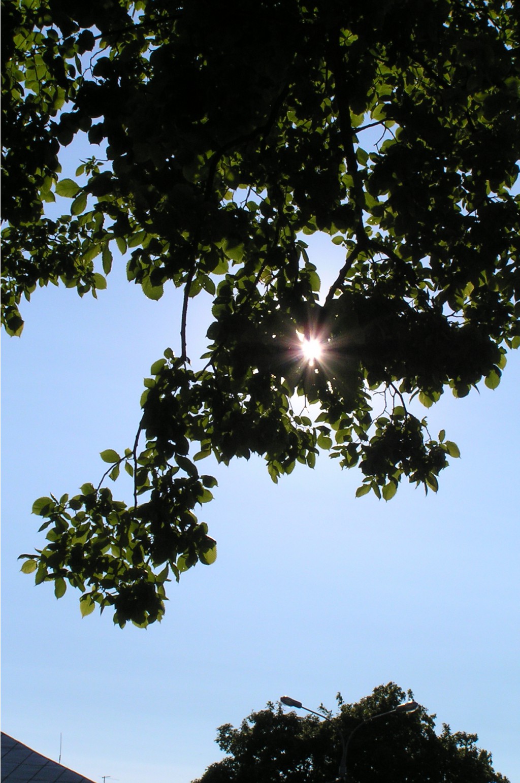 08.07.2009 11:53:31