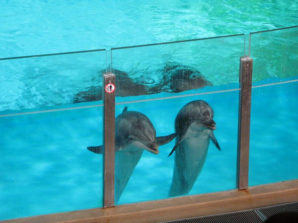 59 какие вы странные, люди...jpg