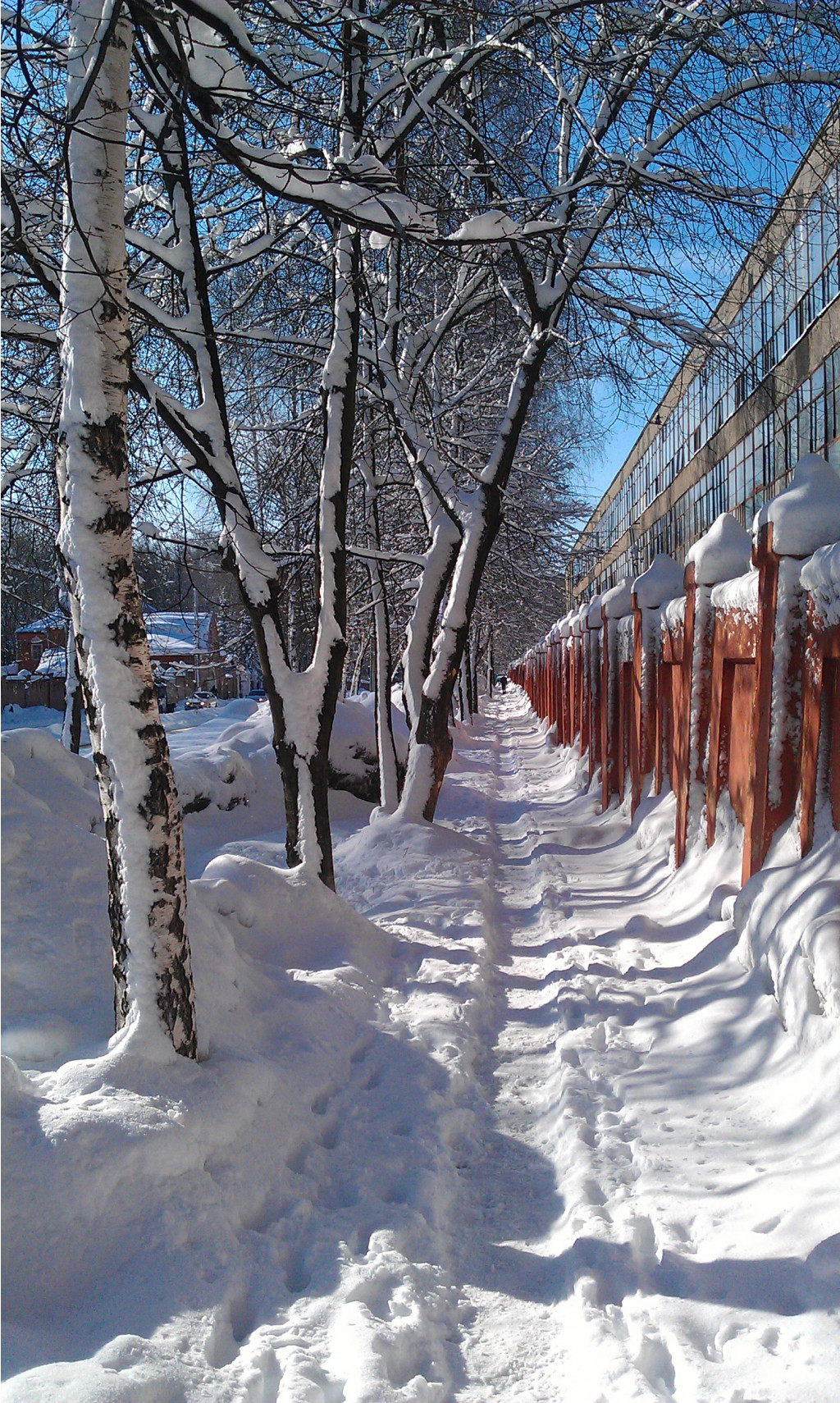 IMAG0396.jpg