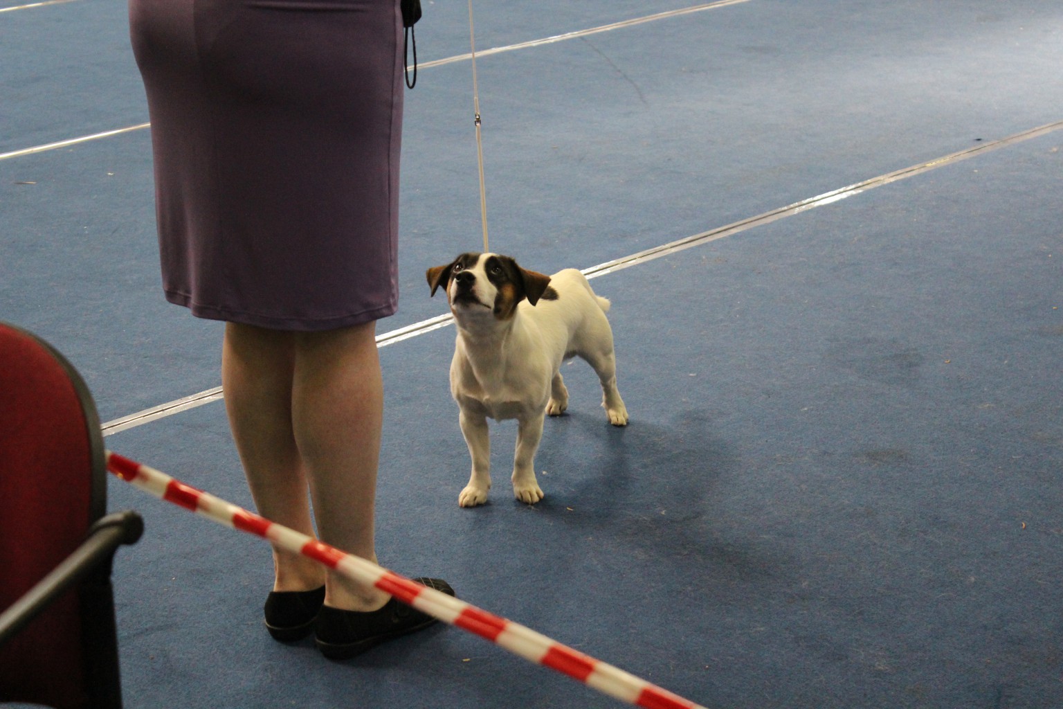 2012_05_20_0462.JPG