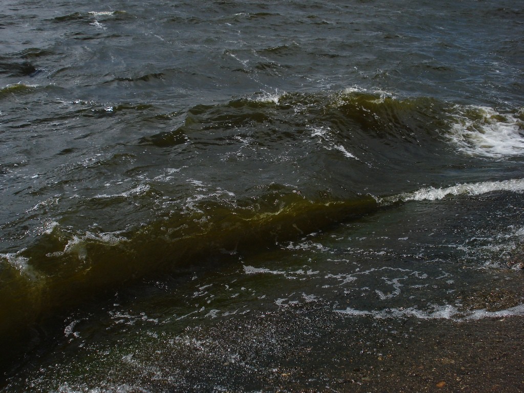 09.07.2009 18:40:54