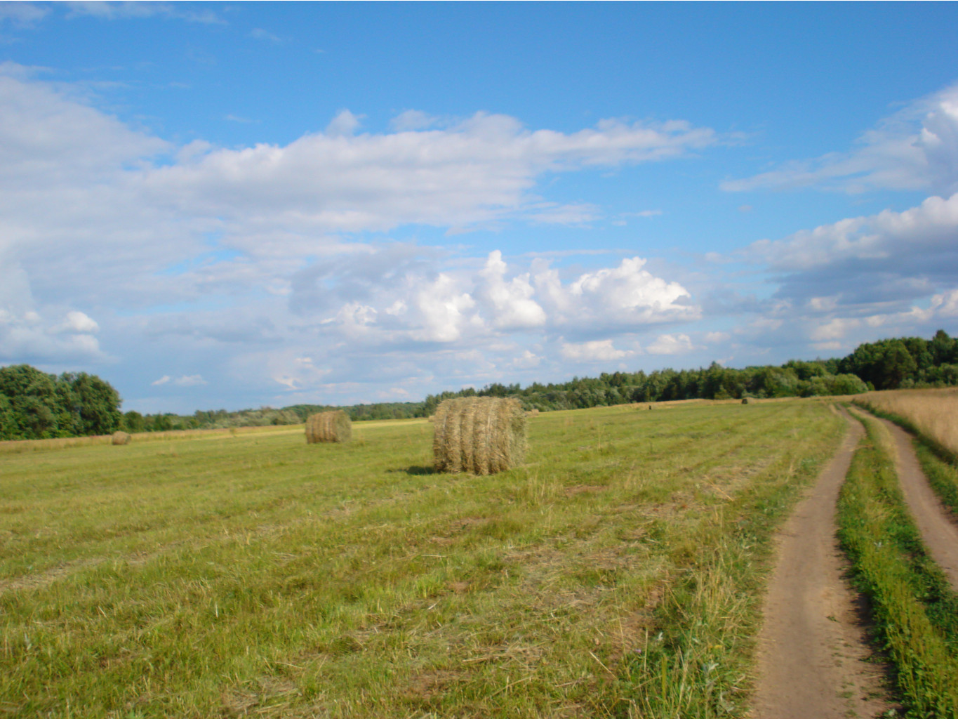 09.07.2009 19:07:42