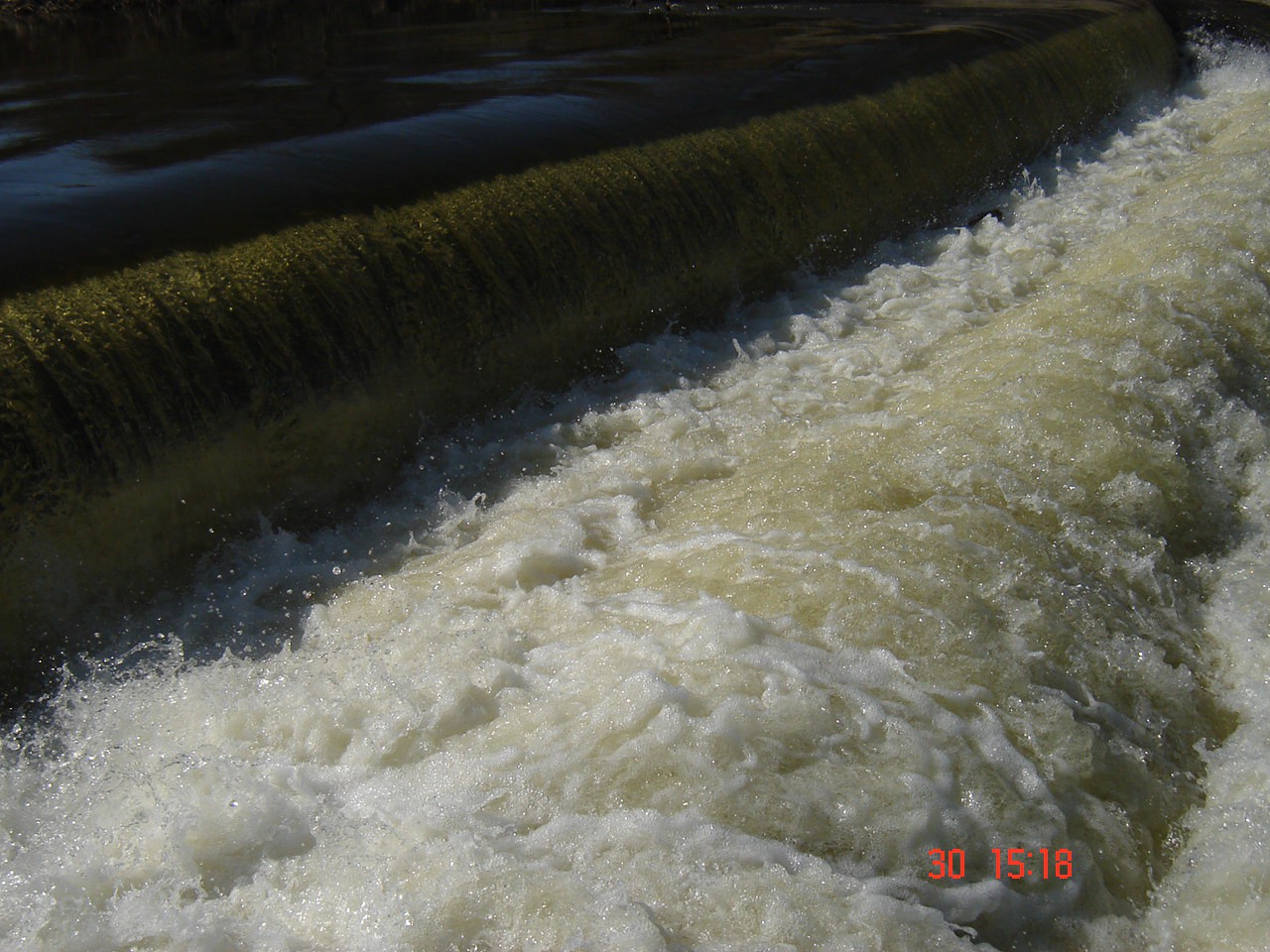 DSC01759.JPG