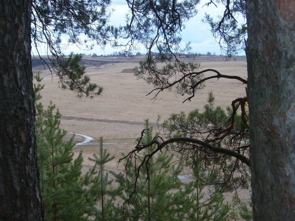 S4300114.JPG
