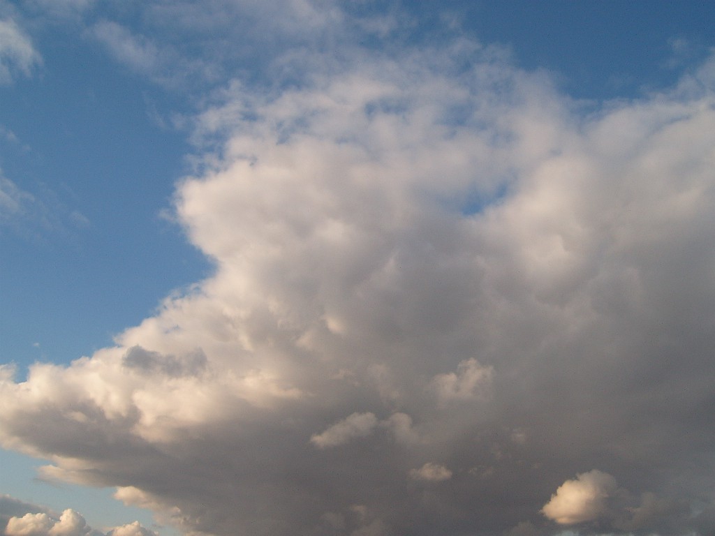 S4300141.JPG