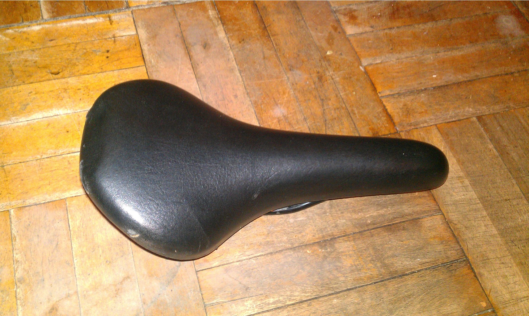 IMAG0113.jpg