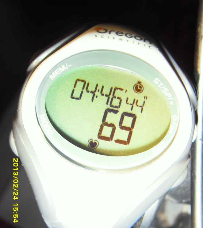 03.JPG