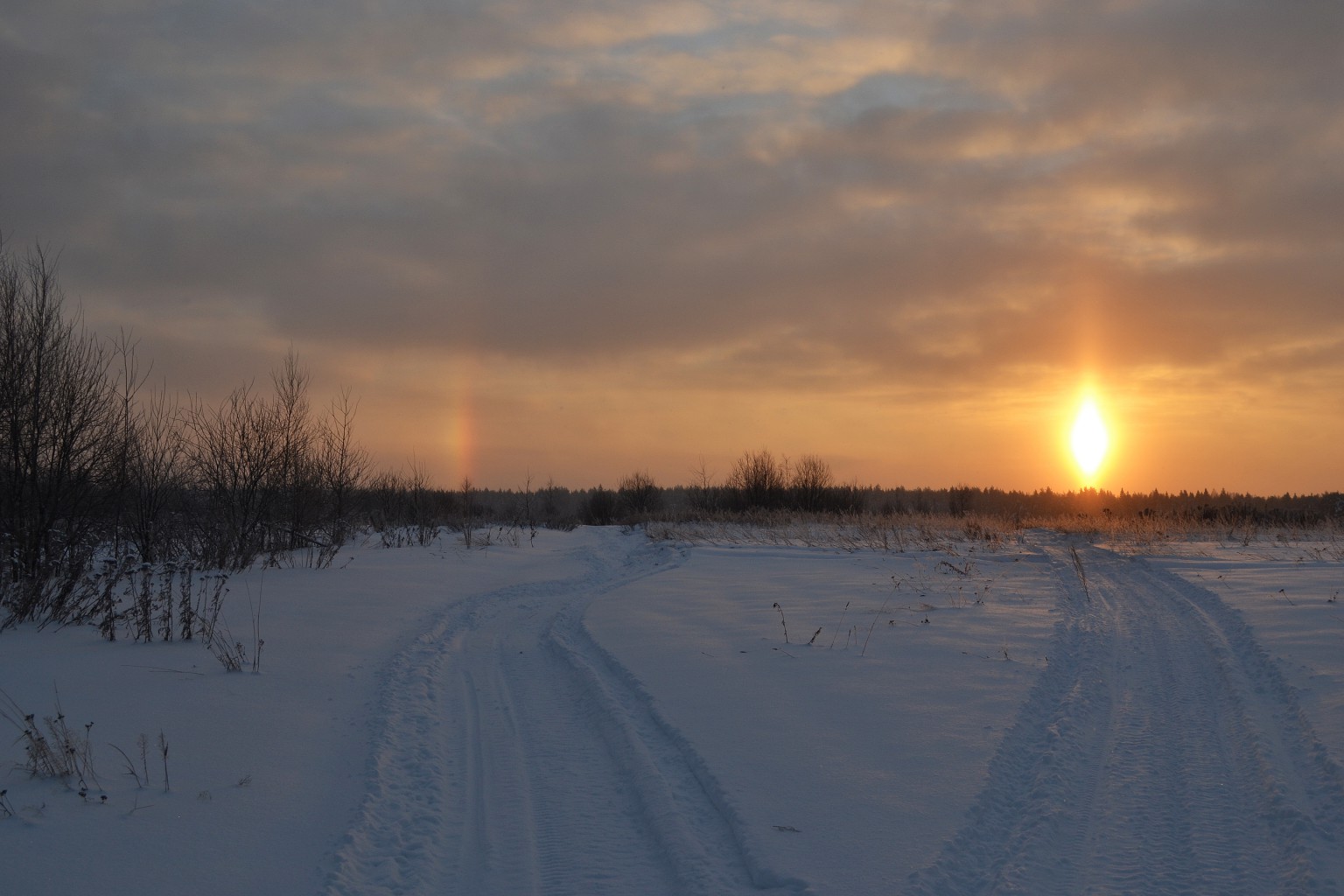 DSC_0081 копия.jpg