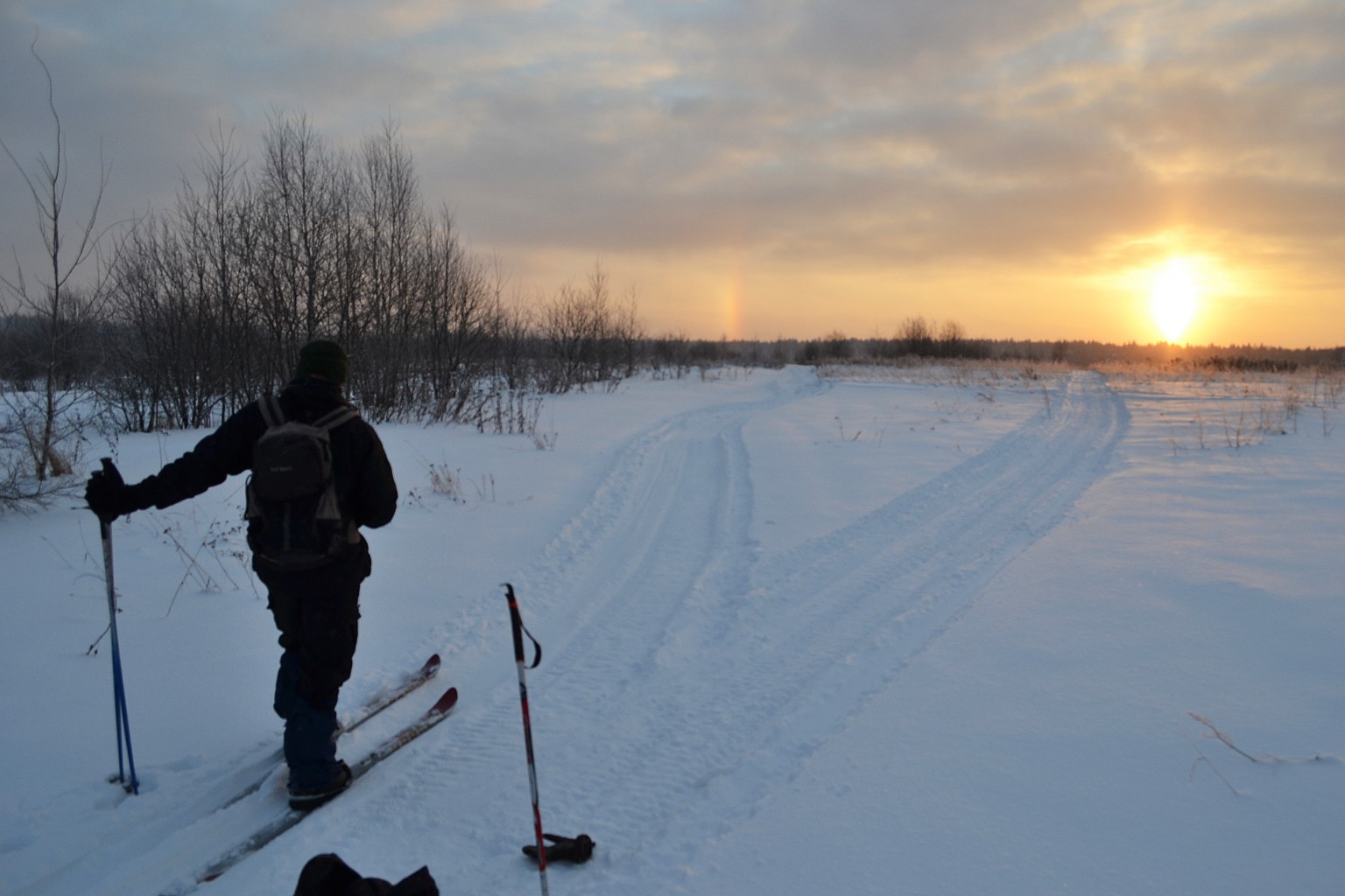 DSC_0087 .jpg