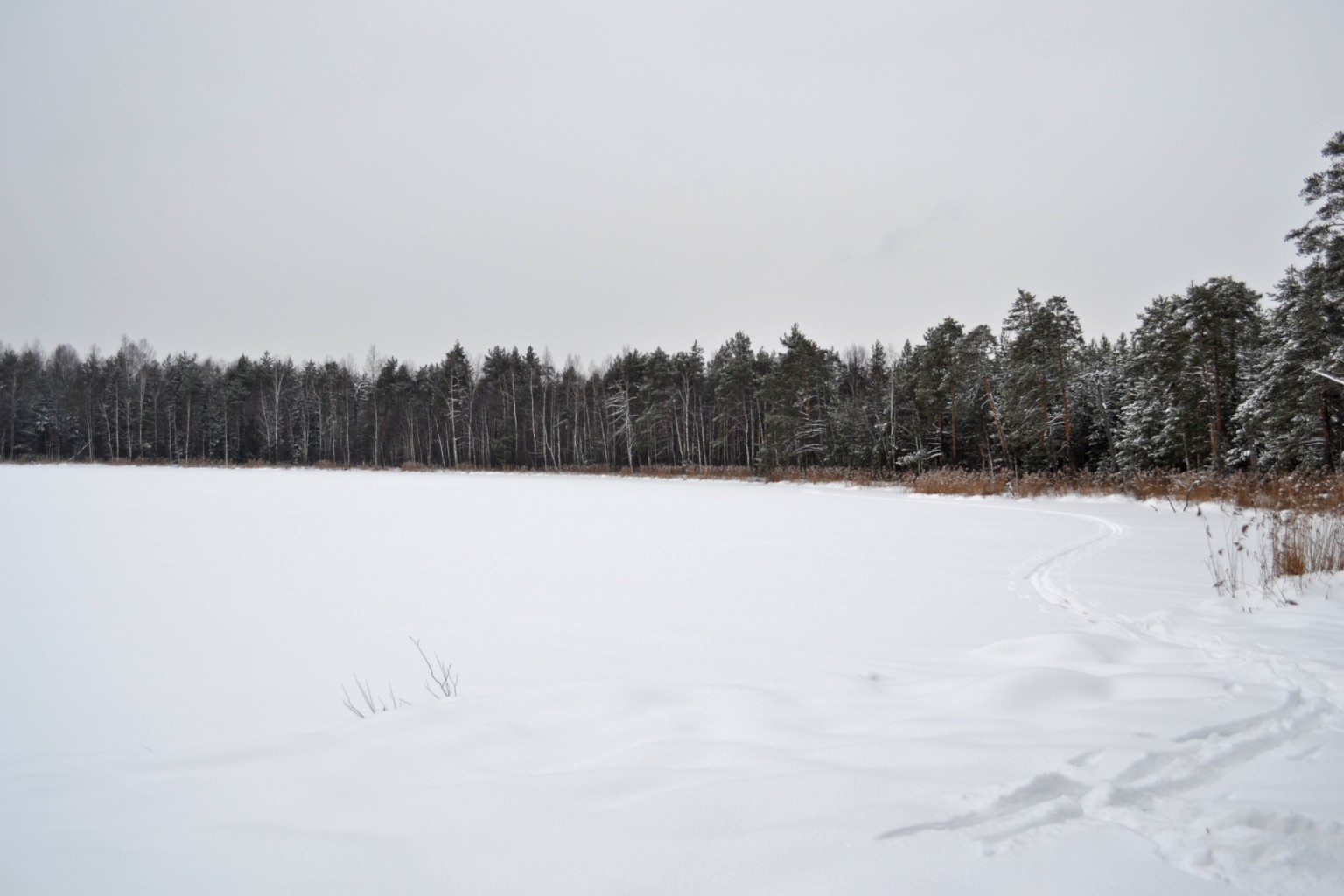 DSC_0095.jpg