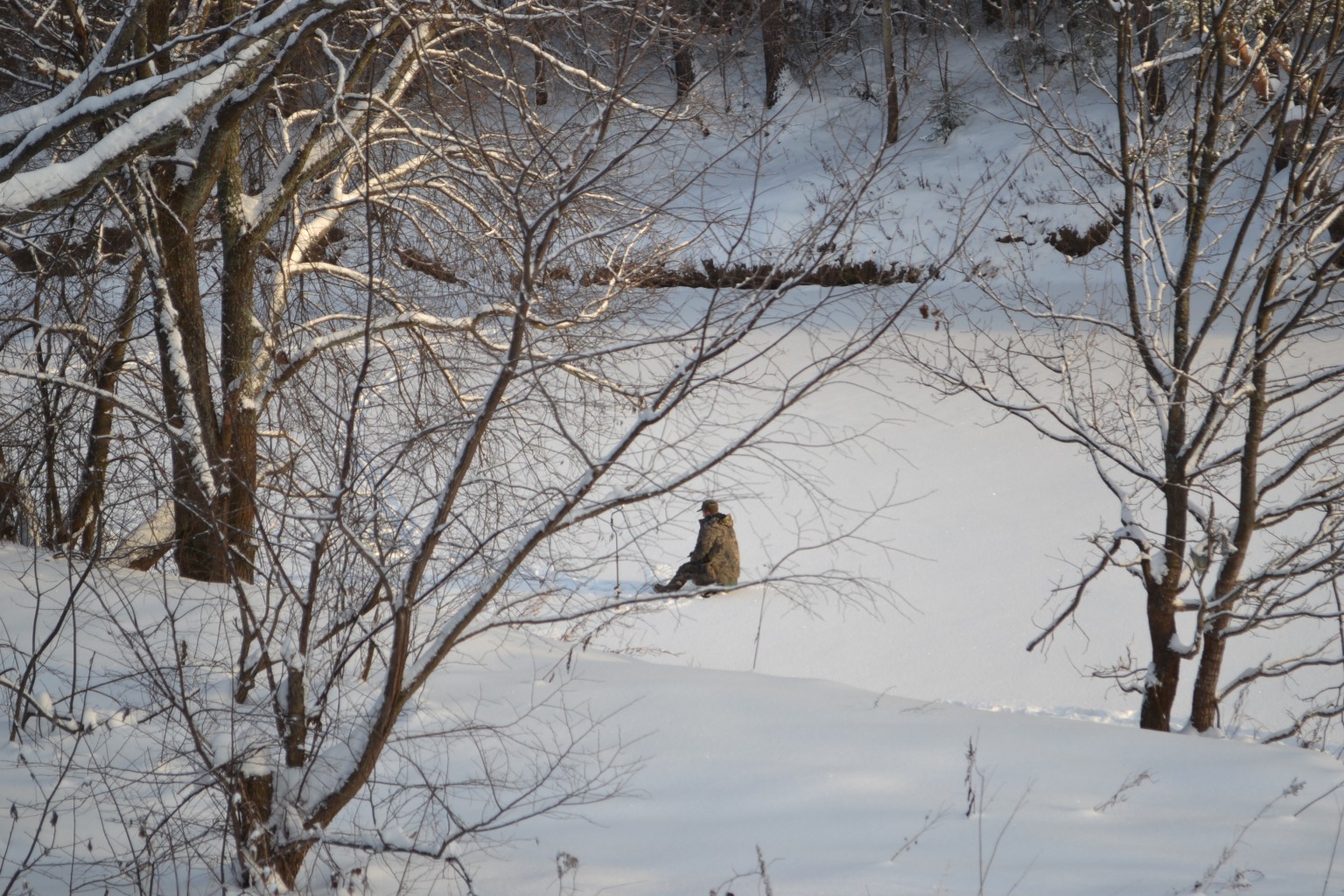 DSC_0094.JPG