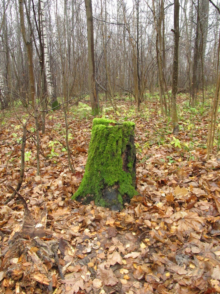 IMG_0027.JPG