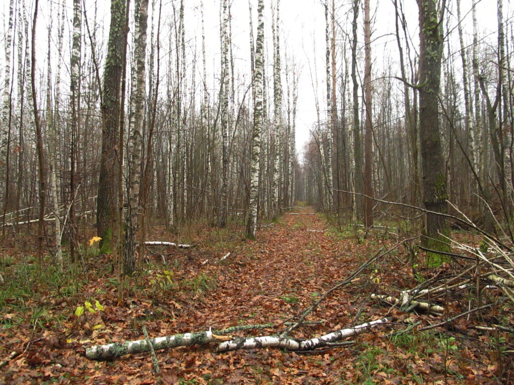 IMG_0072.JPG