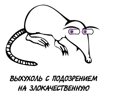 4.jpeg