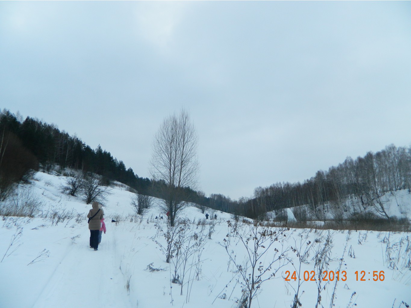 DSCN4064.JPG