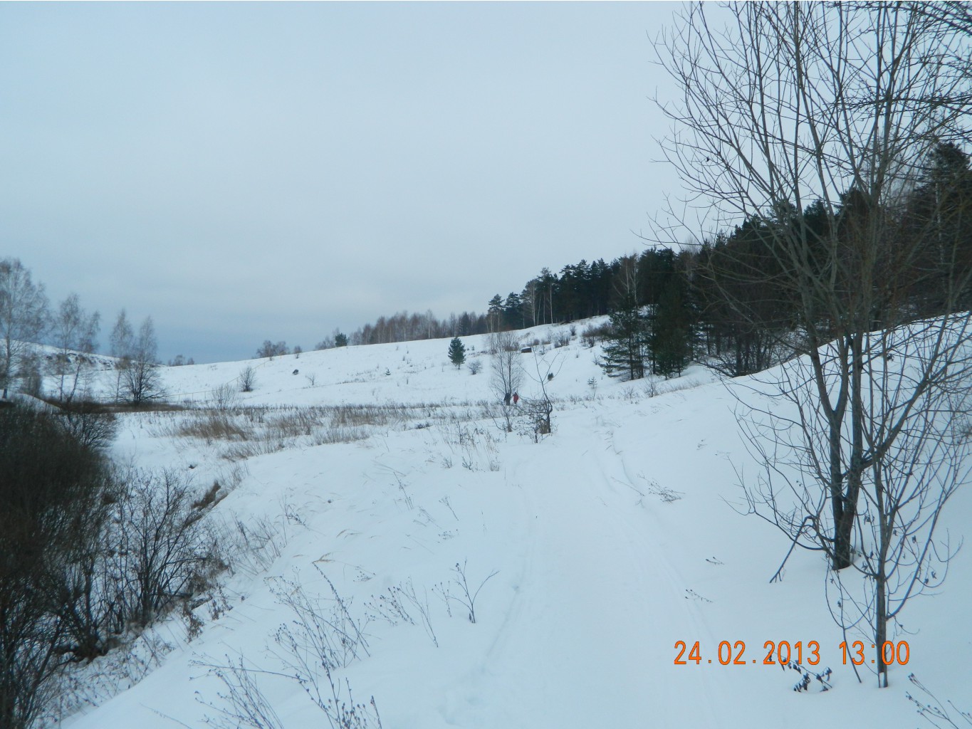 DSCN4071.JPG
