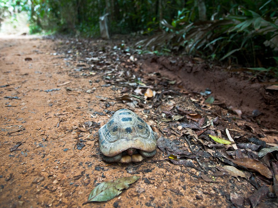 thailand86.jpg