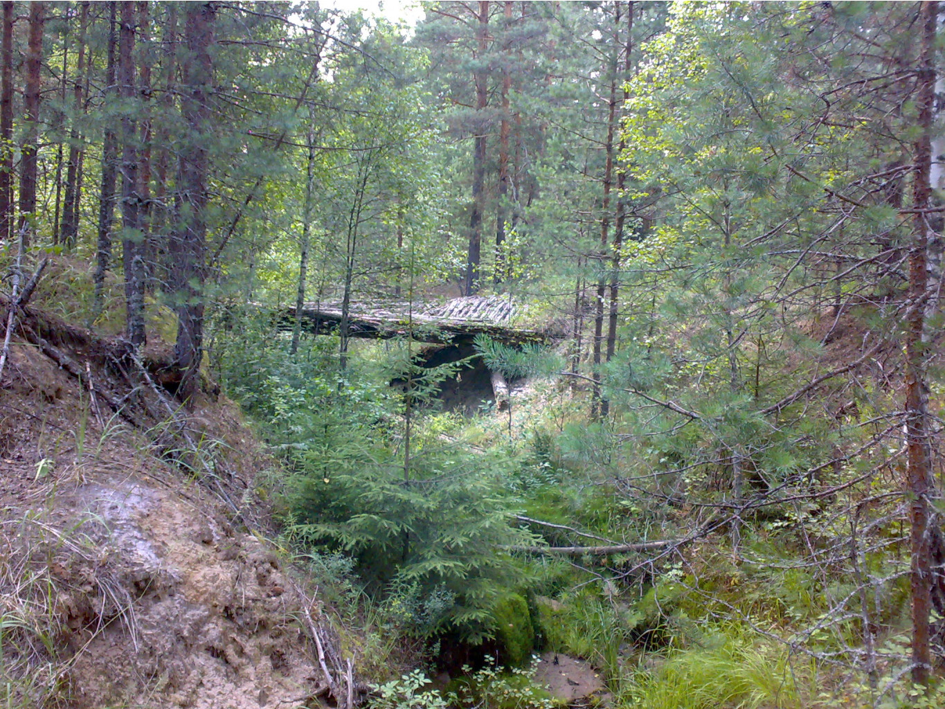 23.07.2009 18:26:43
