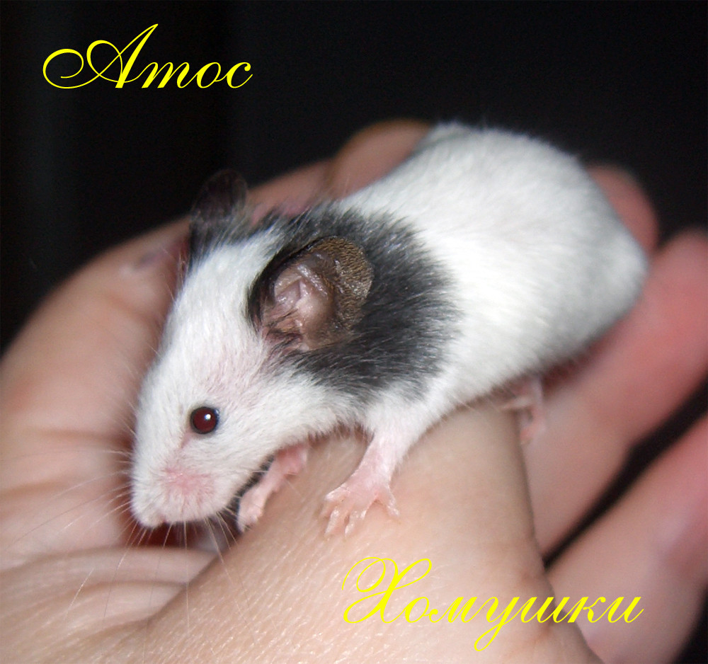 26.07.2009 11:57:56