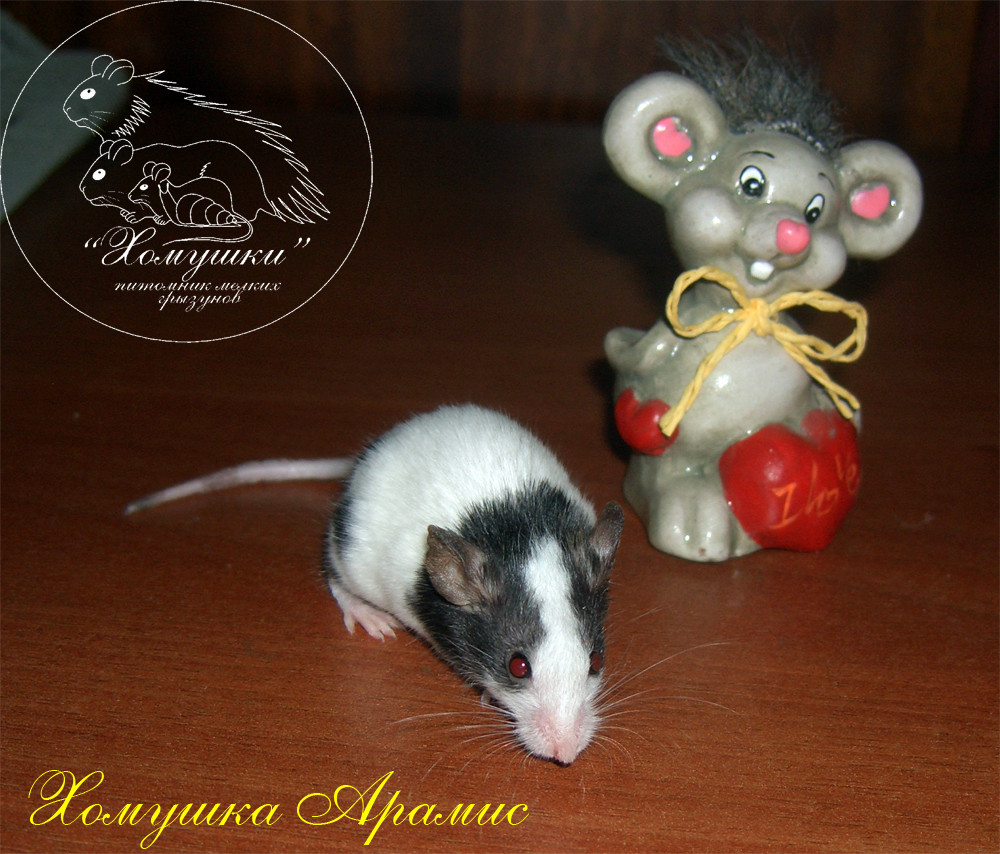 26.07.2009 12:04:39