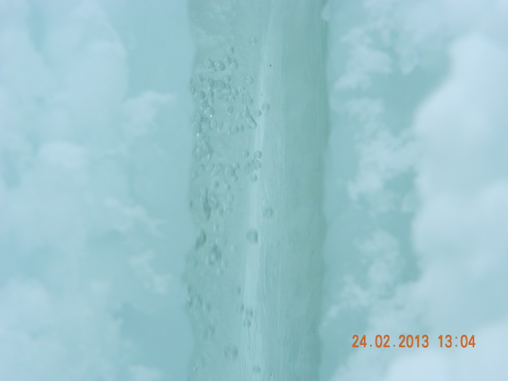 DSCN4078.JPG