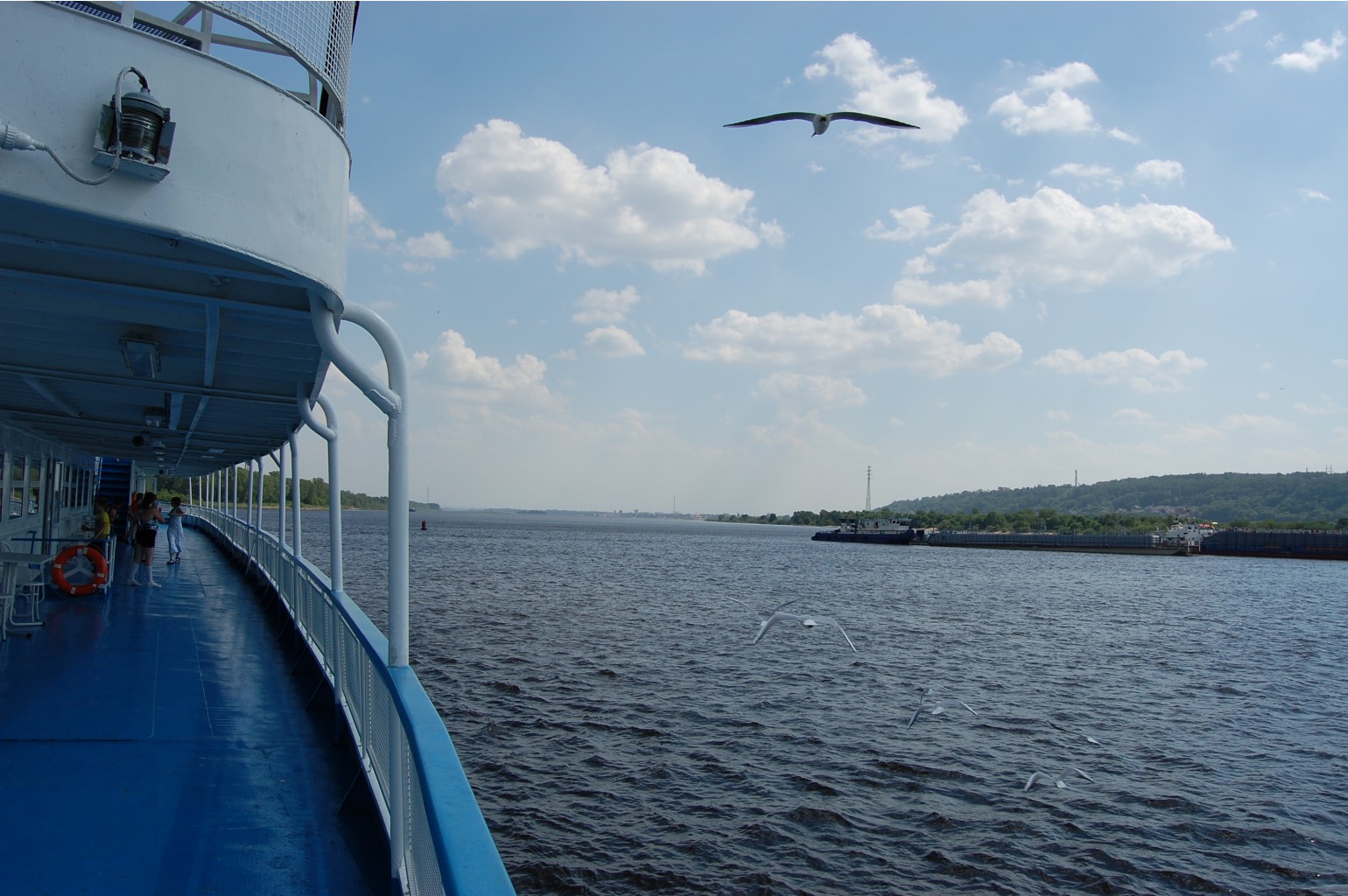 DSC_5311.JPG