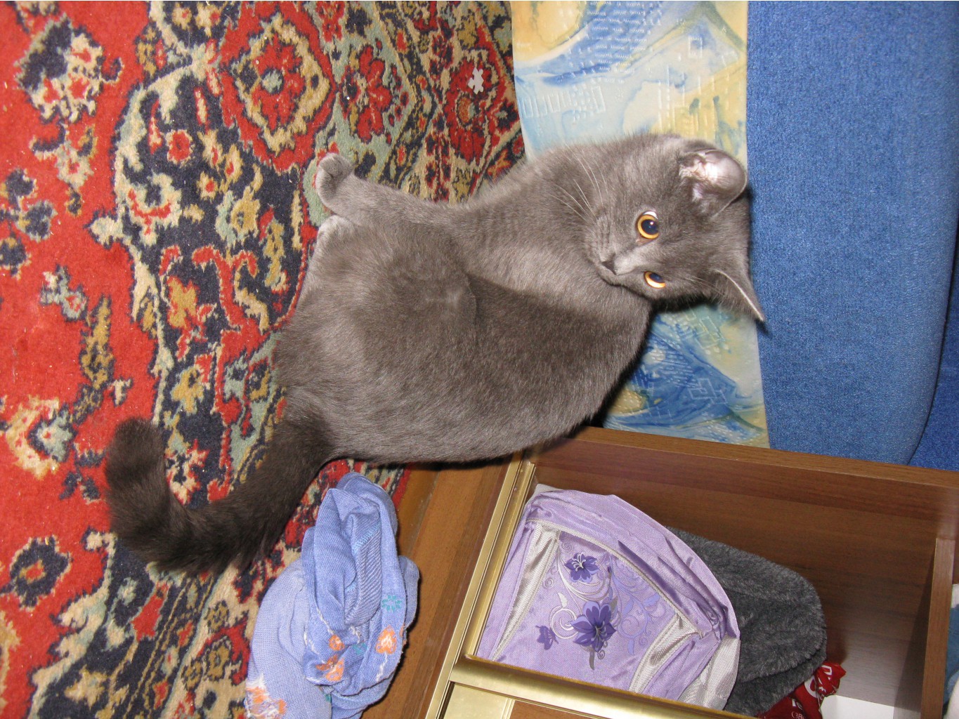 IMG_1884.JPG