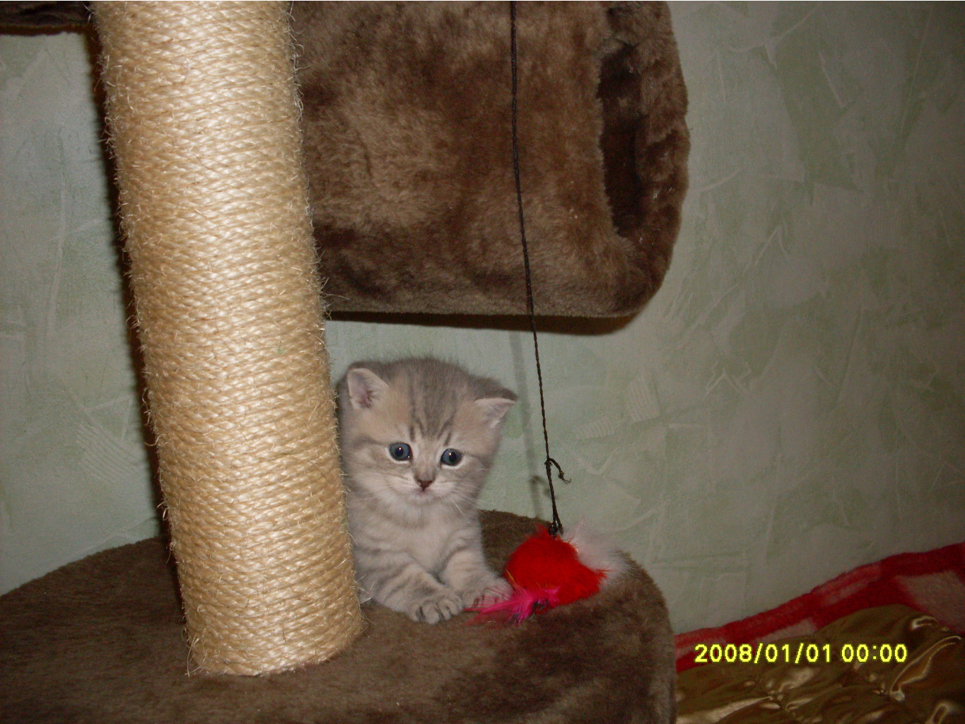 SDC10229.JPG