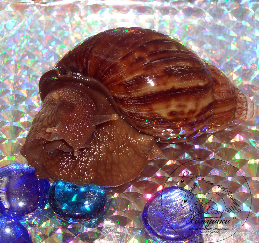 03.08.2009 14:30:45