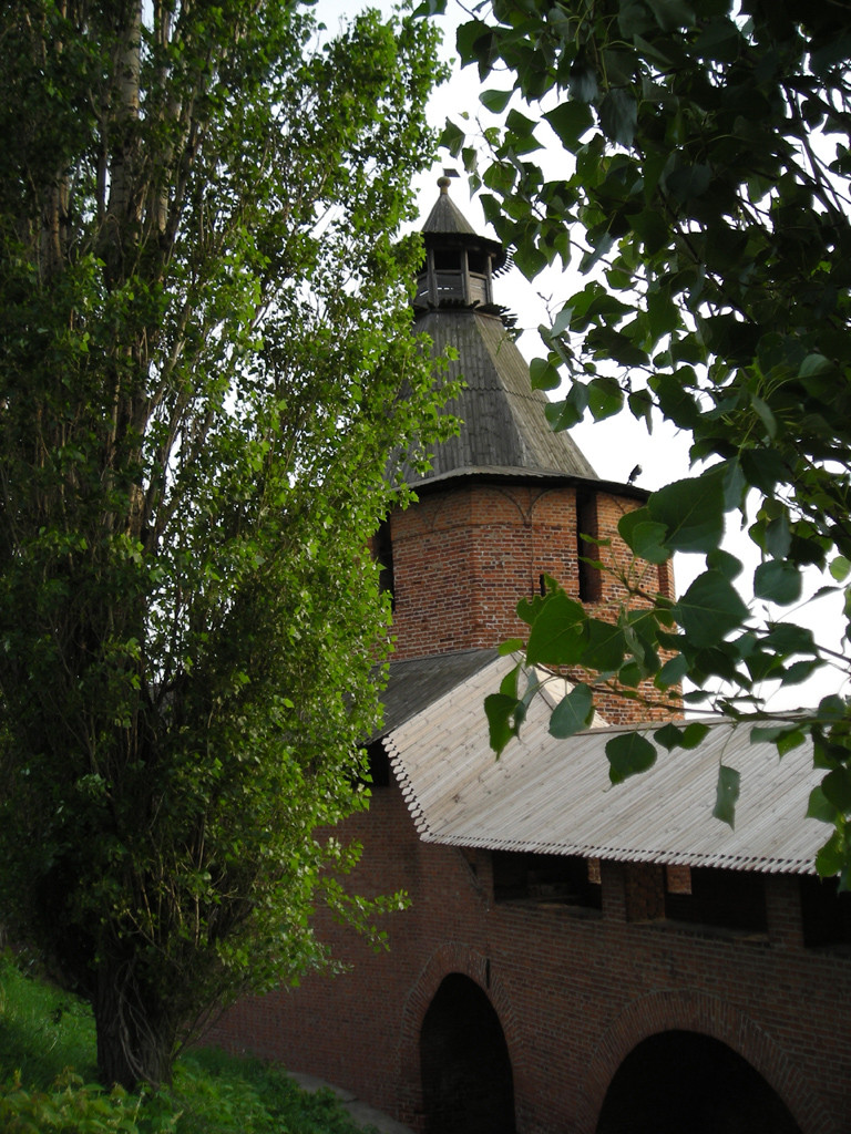 DSCN1128-1