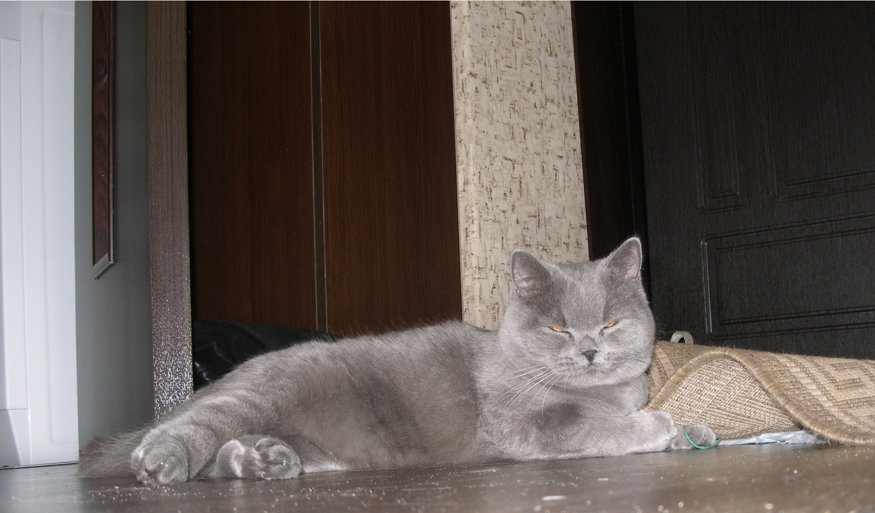 P1189668.JPG