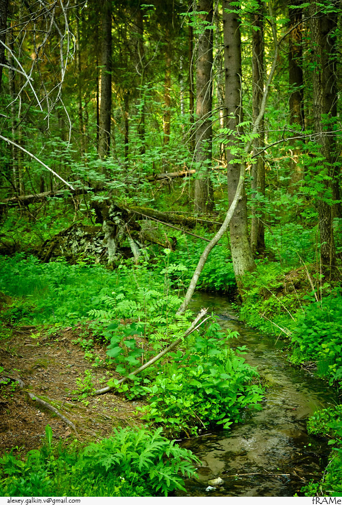_DSC7514.jpg