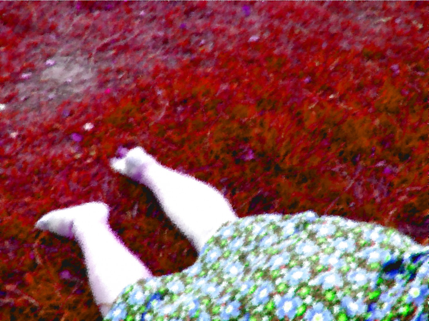 07.08.2009 17:55:48