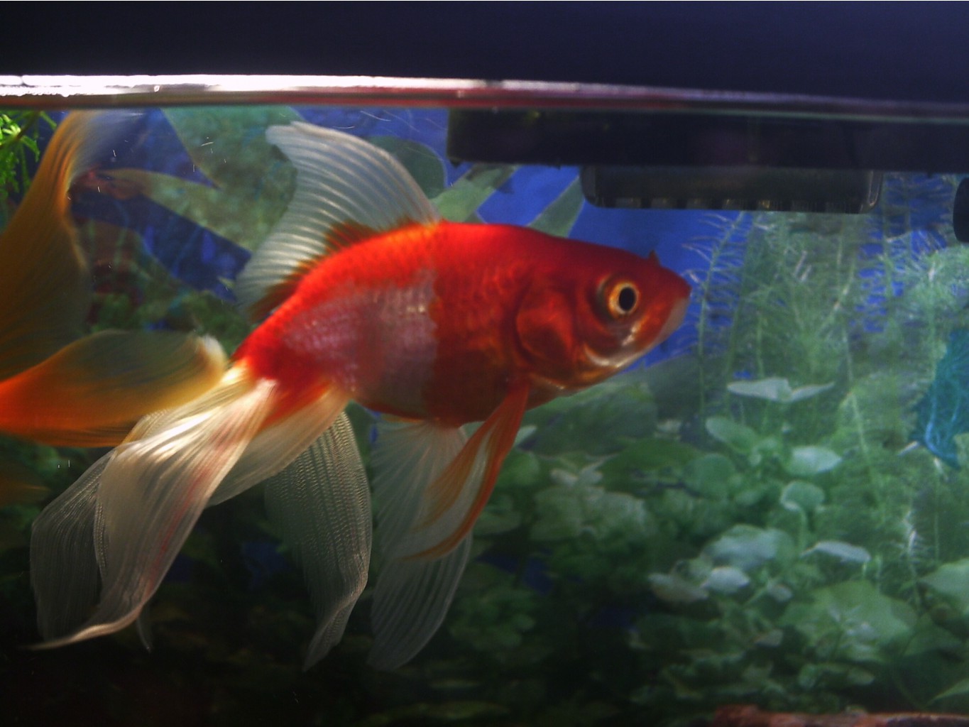 08.08.2009 17:24:56