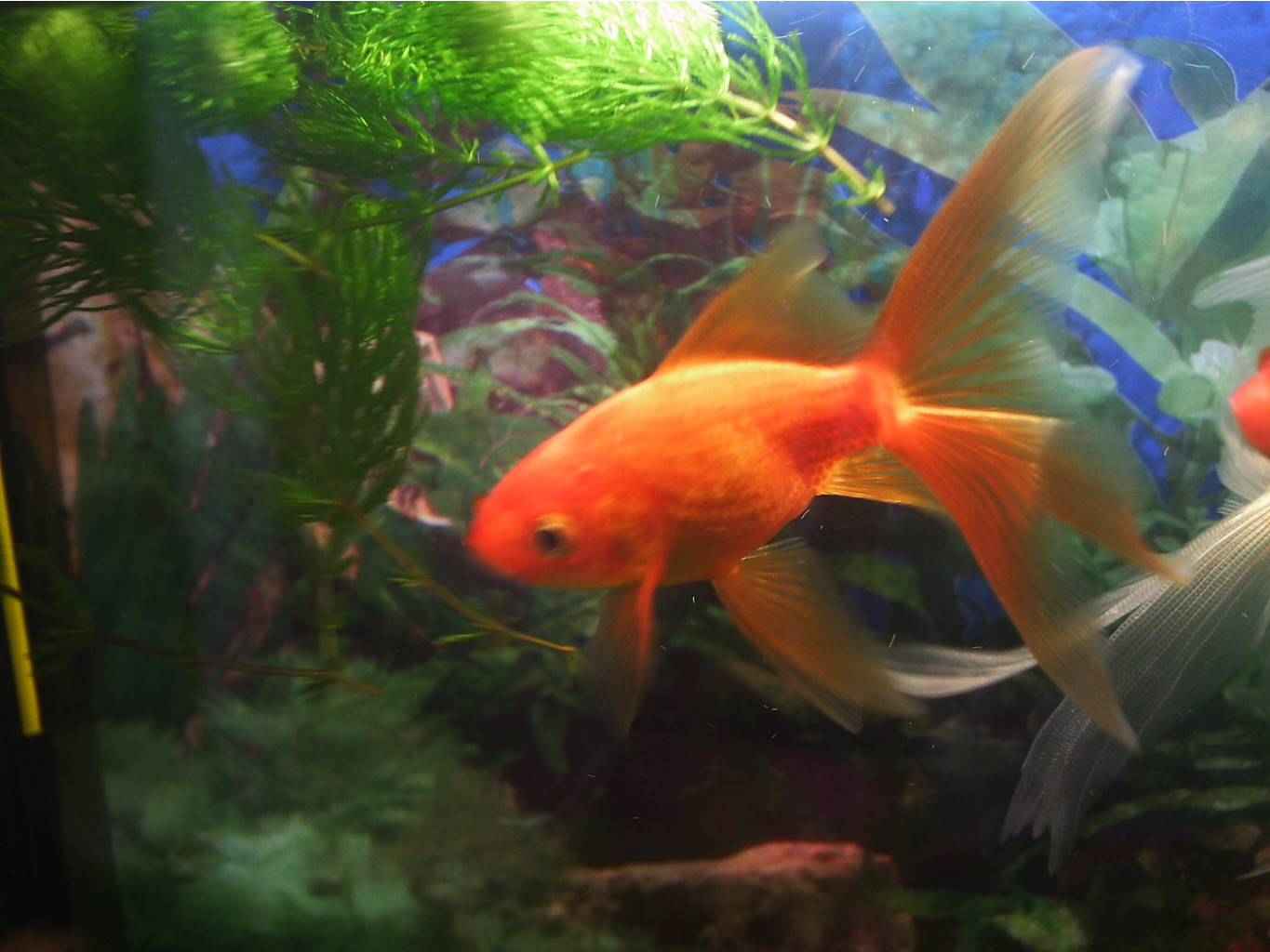 08.08.2009 17:25:21