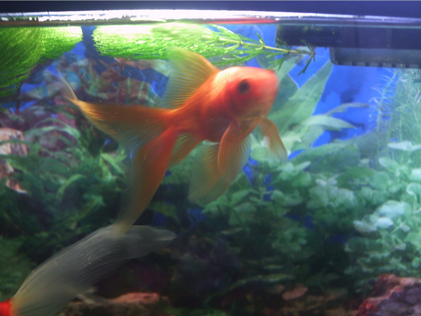08.08.2009 17:26:13