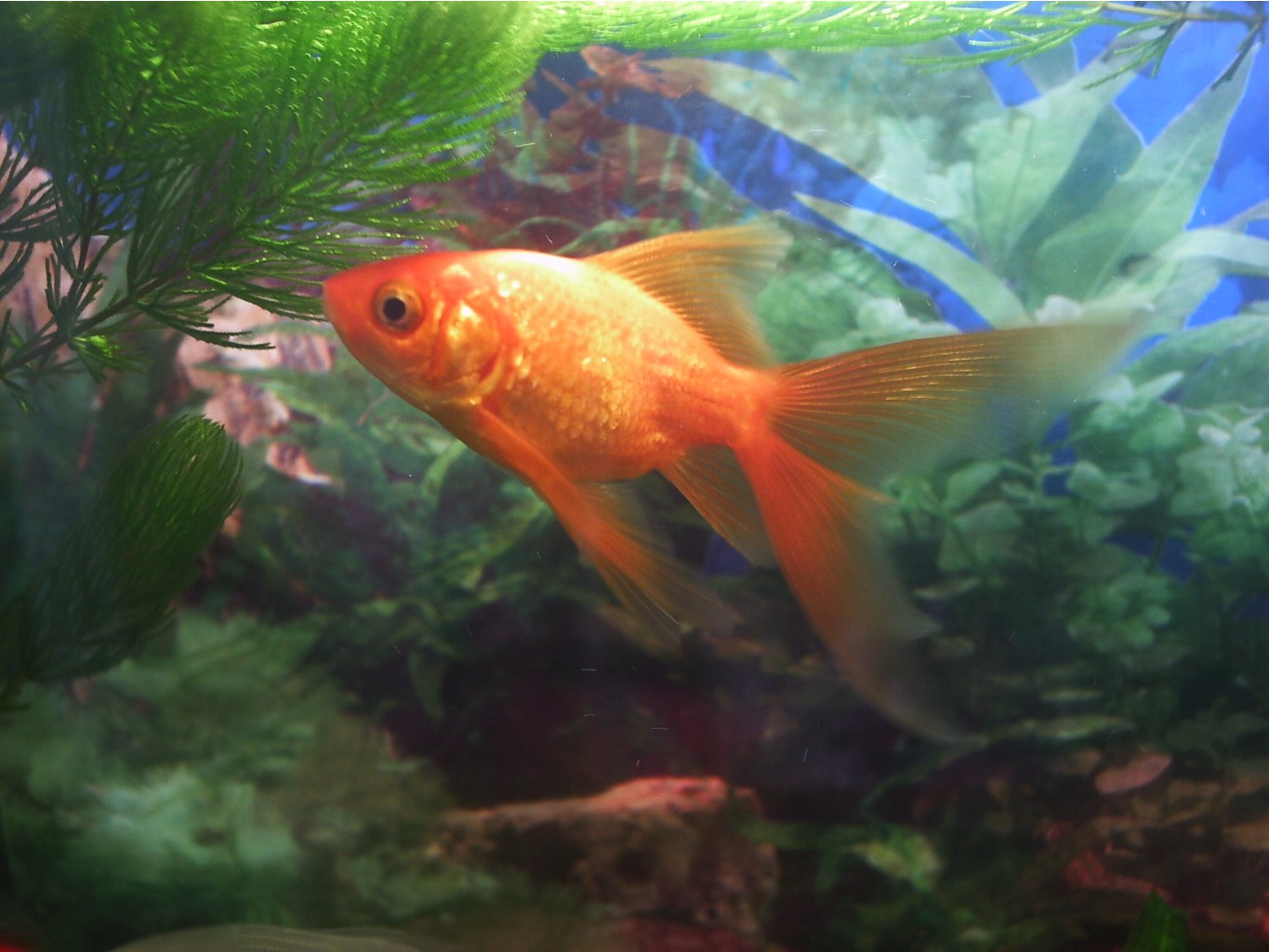 08.08.2009 17:26:26