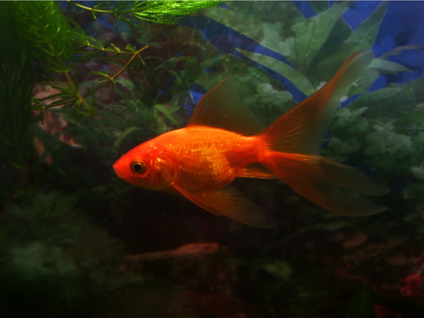 08.08.2009 17:26:37