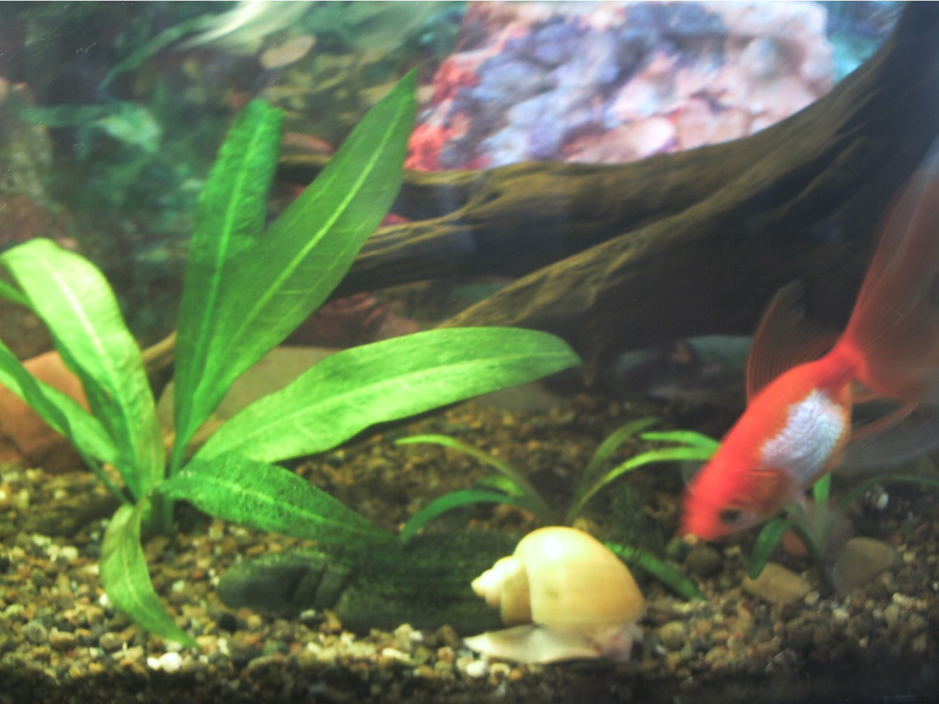 08.08.2009 17:27:48