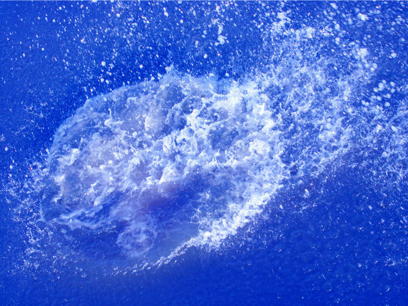 29.10.2010 0:54:56