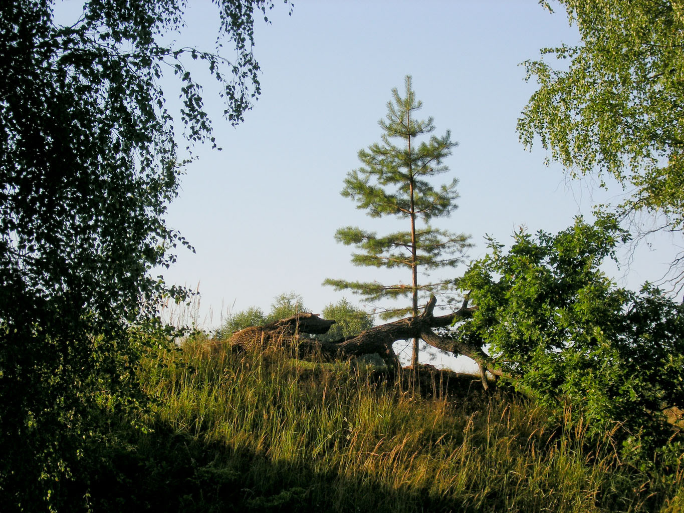 11.08.2009 22:06:19