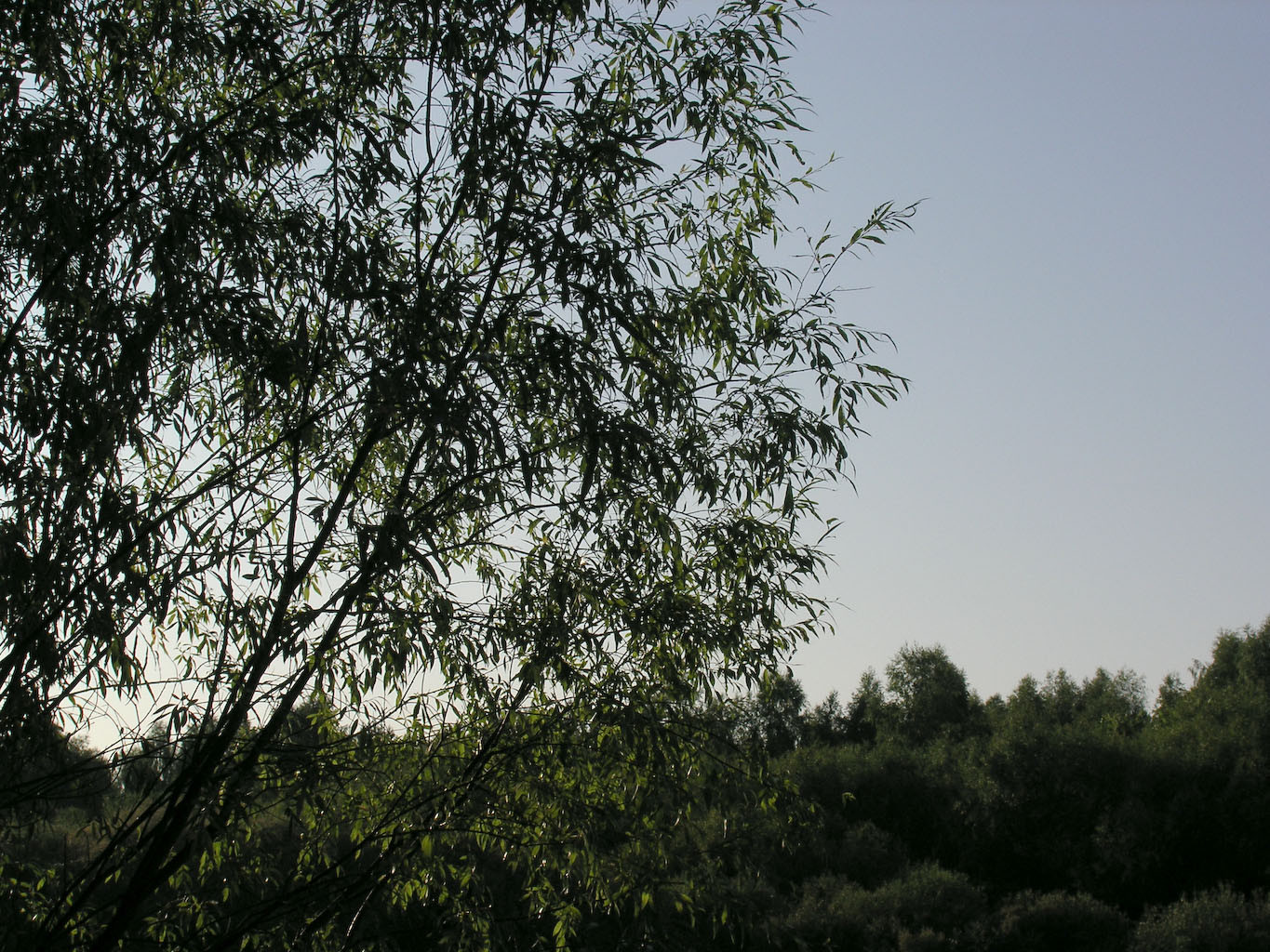 11.08.2009 22:06:33