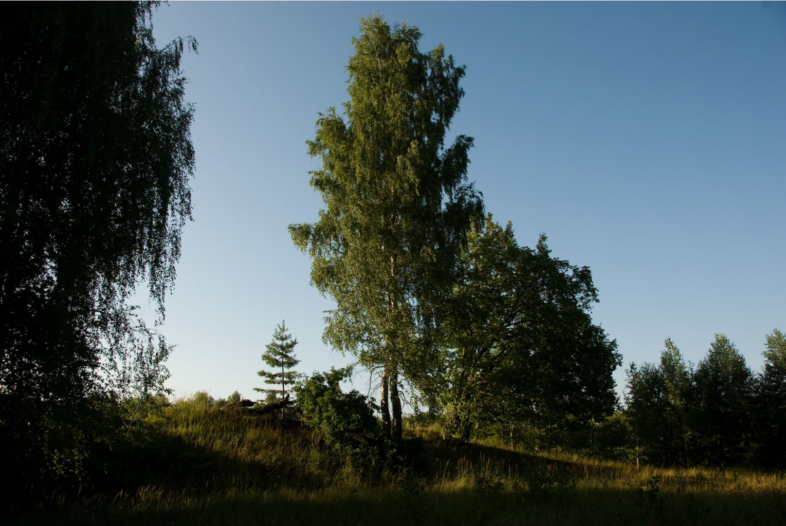 11.08.2009 22:11:49