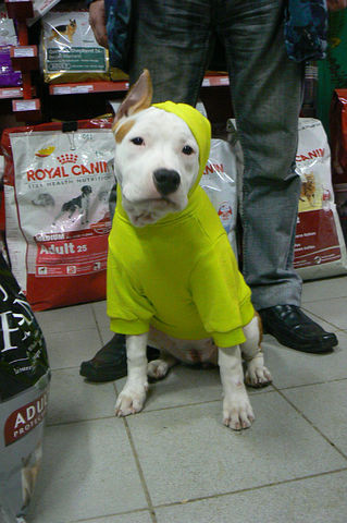 getImage (1).jpg