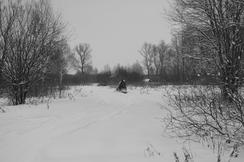 IMGP8346_1.jpg