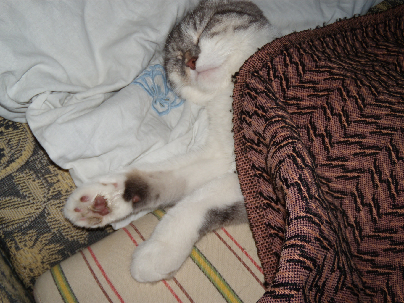 DSCN6096.jpg